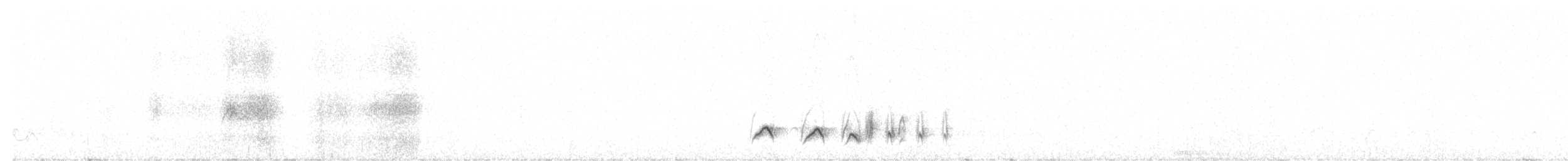 Hooded Robin - ML641242469