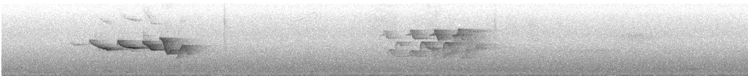 Swainson's Warbler - ML641242489
