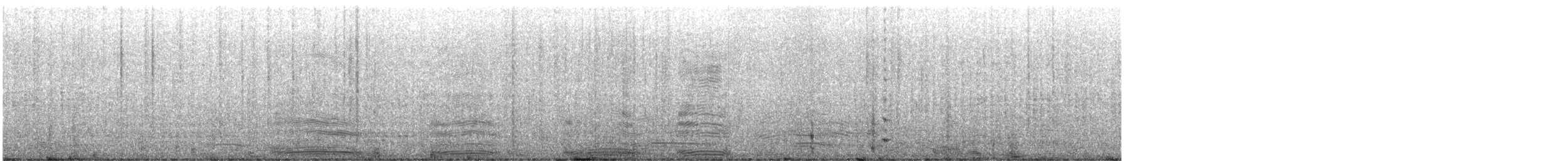 Albatros à sourcils noirs (melanophris) - ML641242967