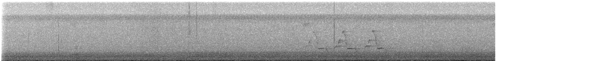 Carolina Wren - ML641245275