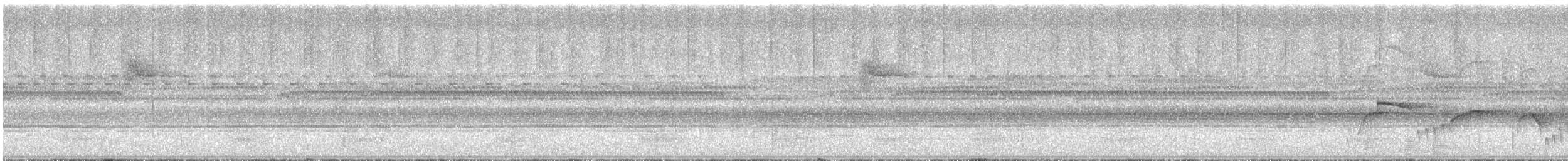 Southern Antpipit - ML641246506