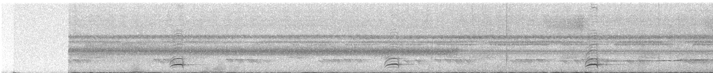 White-necked Thrush - ML641246516