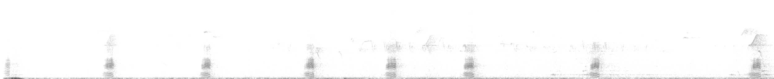 綠頭鴨 - ML641246714