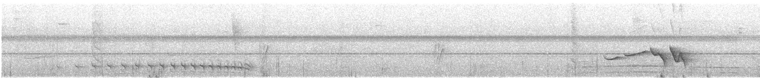 Bar-crested Antshrike - ML641247926