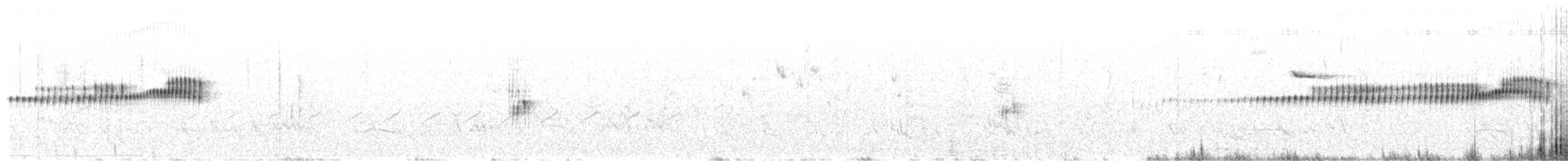 Інезія тонкодзьоба - ML641250426