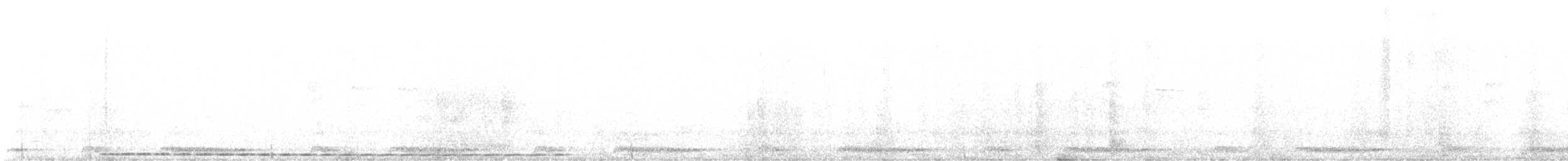 White-browed Coucal - ML641250664