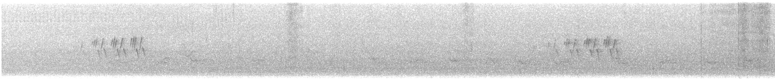 MacGillivray's Warbler - ML641251233