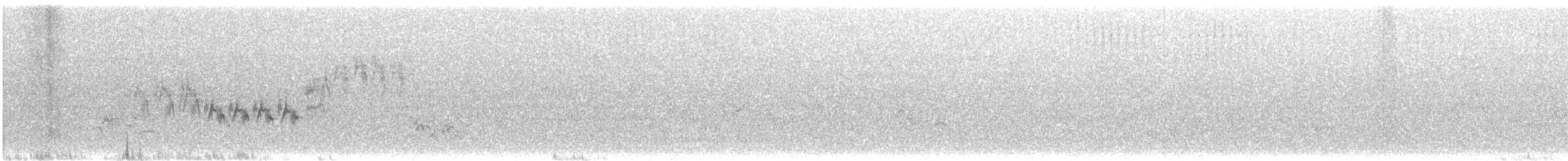 Lincoln's Sparrow - ML641251240