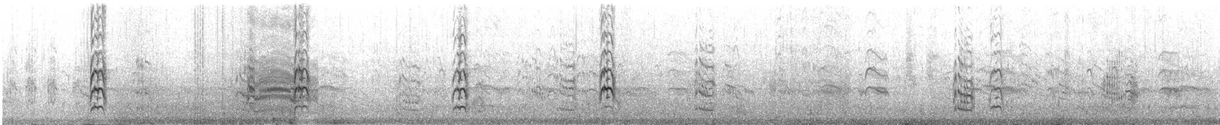 Sterne voyageuse - ML641253304
