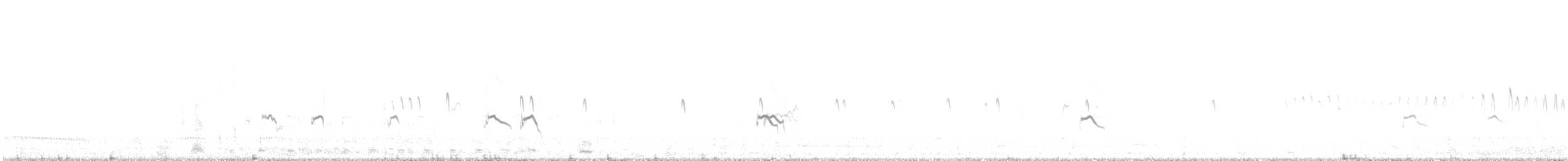 Little Stint - ML641255949