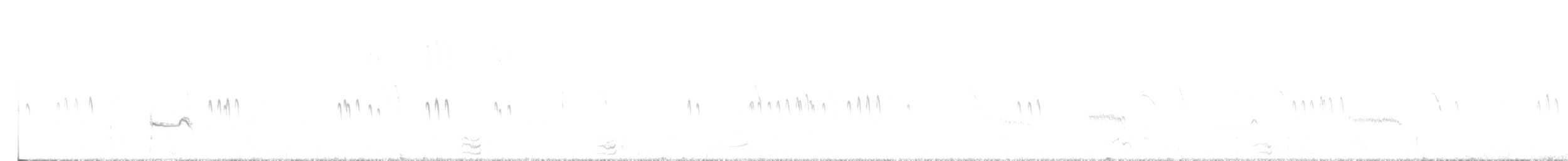 Little Stint - ML641255950