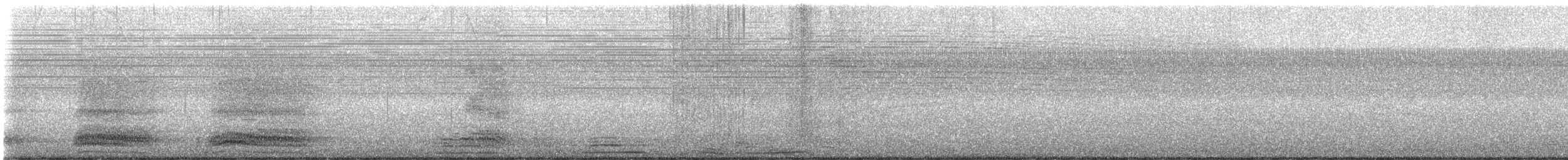 American Crow - ML641255991