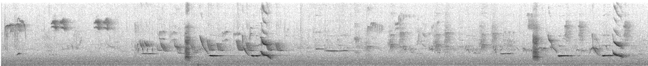 Tui - ML641256014