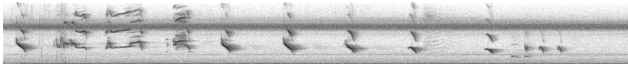 Balbuzard pêcheur - ML641256202