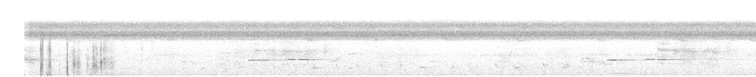 Gray-lined Hawk - ML641257080