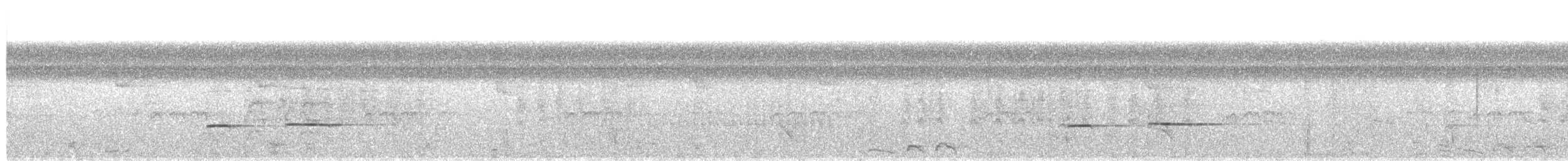 Streifenkuckuck - ML641257320