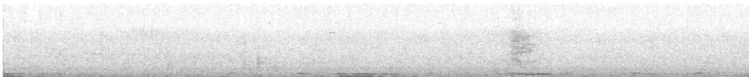 pigeon/dove sp. - ML641258133