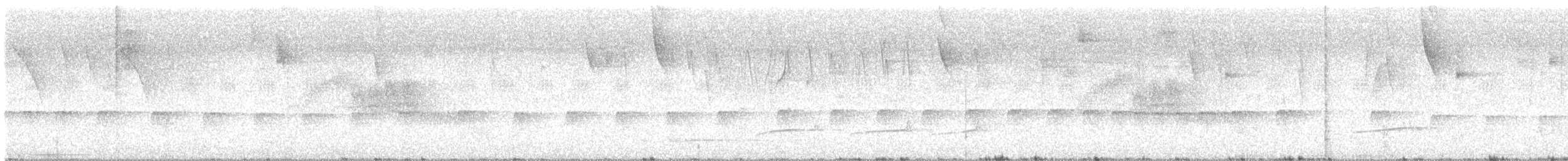 Lesser Woodcreeper - ML641258562