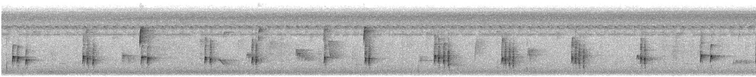チャバラマユミソサザイ - ML641258579