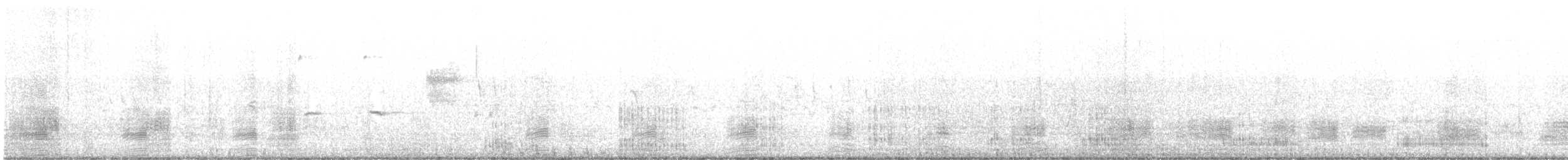 kachna divoká - ML641261321