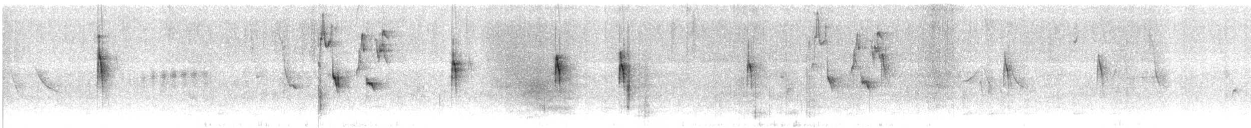 Sooty Tyrannulet - ML641263369