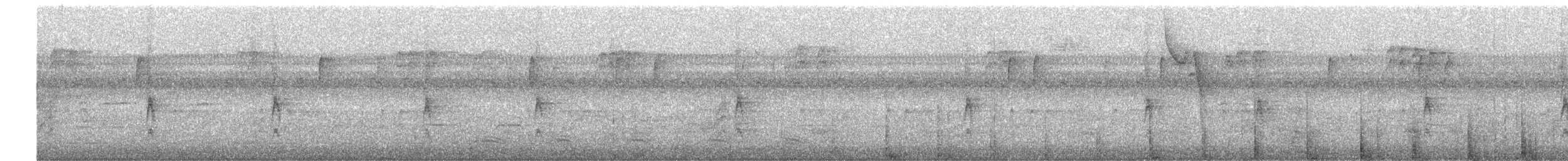 Song Sparrow - ML641265691