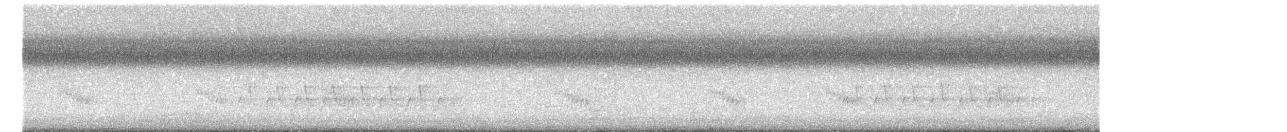 チャバラマユミソサザイ - ML641267294