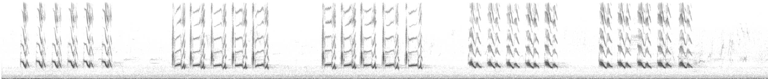 Northern Mockingbird - ML641267903