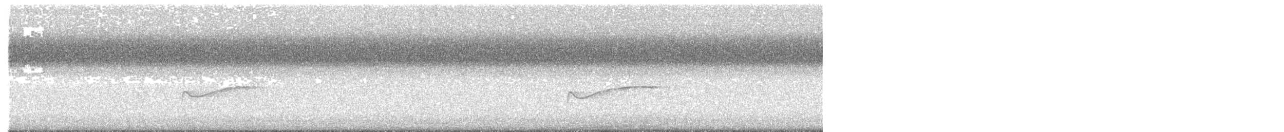 Eastern Wood-Pewee - ML641268371
