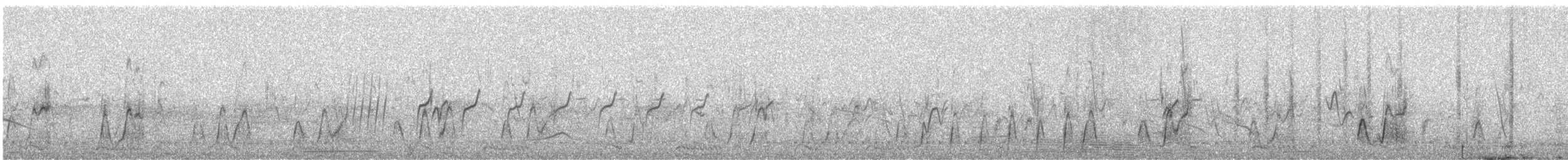 Oie-armée de Gambie - ML641268556