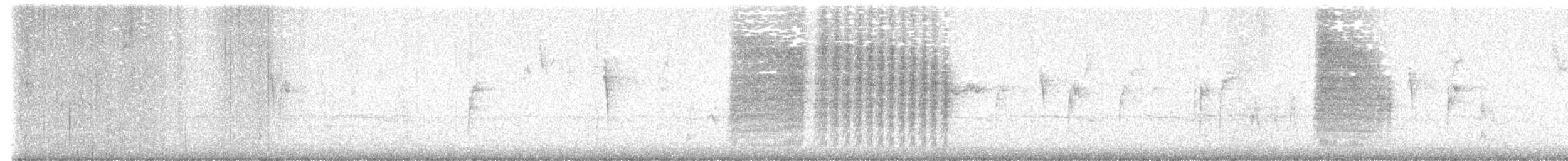 Northern House Wren - ML641268898