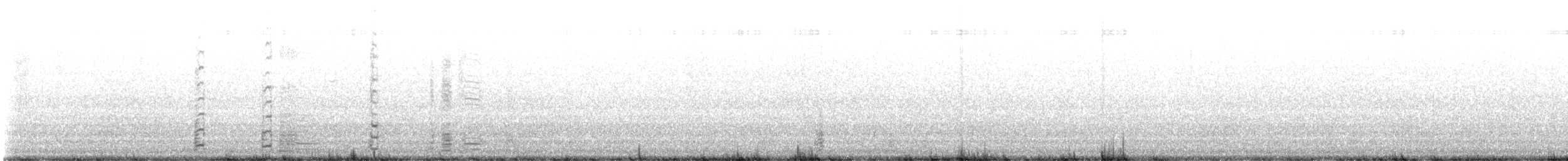 Coscoroba Swan - ML641273556