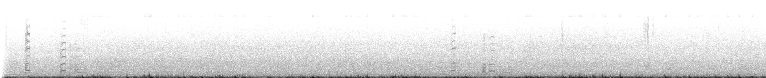 Coscoroba Swan - ML641273643