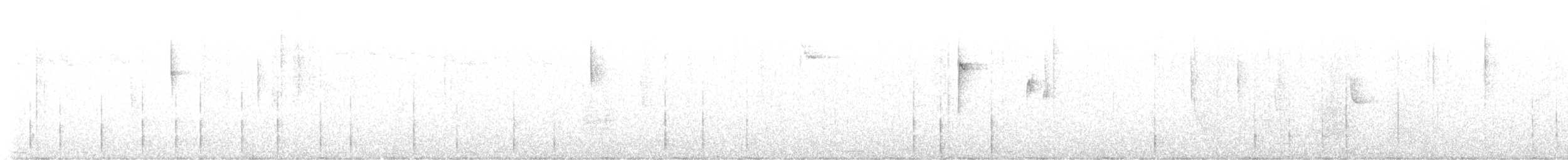 スジコゲラ - ML641273703