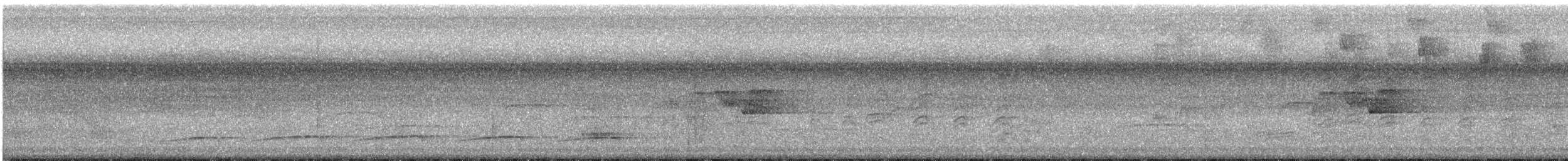 メジロヒメモズモドキ - ML641274277