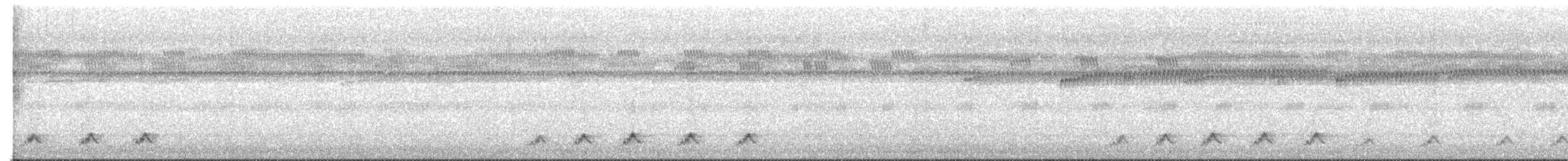 Puerto Rican Nightjar - ML641275144