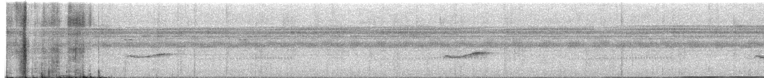 Eastern Wood-Pewee - ML641275273