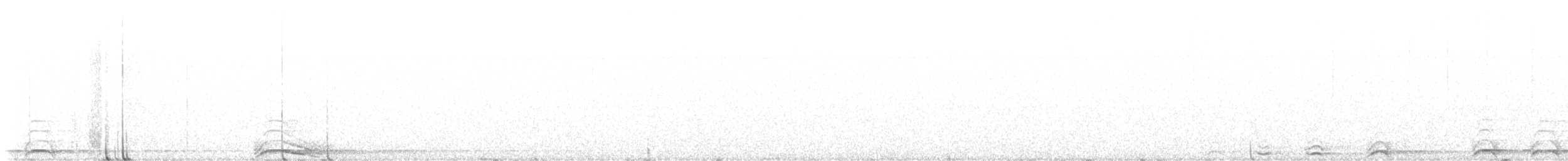 ニシアメリカフクロウ（occidentalis） - ML641276587