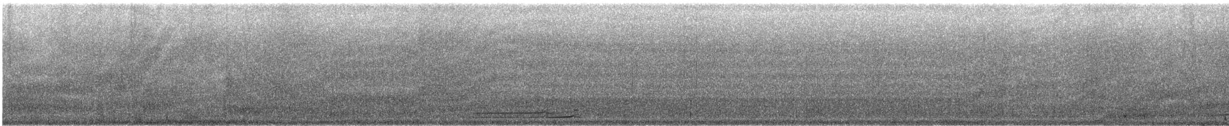 Plongeon du Pacifique - ML641277047