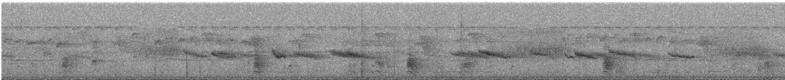 Barred Buttonquail - ML641277222