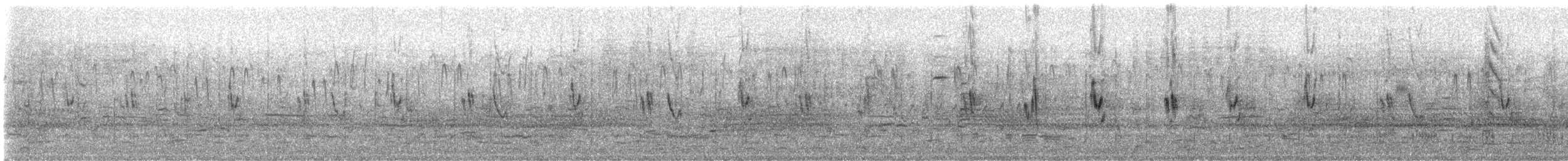 Polluela Amarillenta - ML641277558