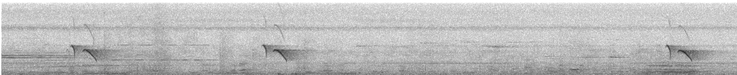 ジャードンコノハドリ - ML641277654
