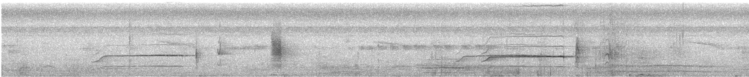 drongo šedobřichý - ML641277861