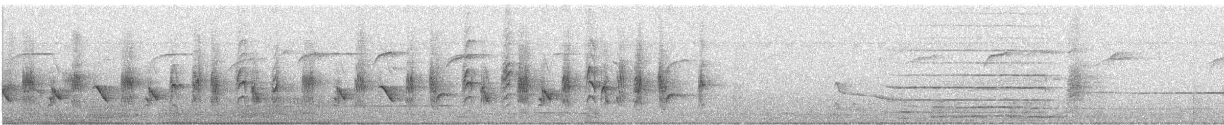 drongo šedobřichý - ML641277904