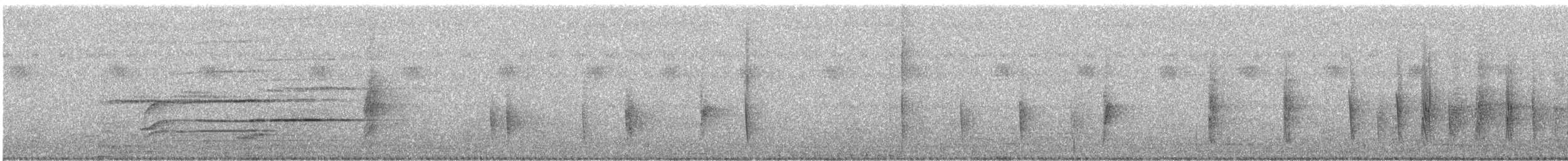 drongo šedobřichý - ML641277907