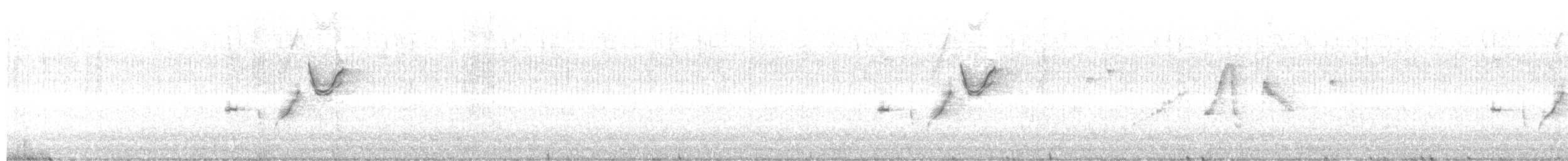 Eastern Bristlebird - ML641282020