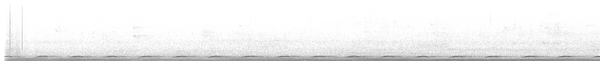 Wonga Pigeon - ML641284072