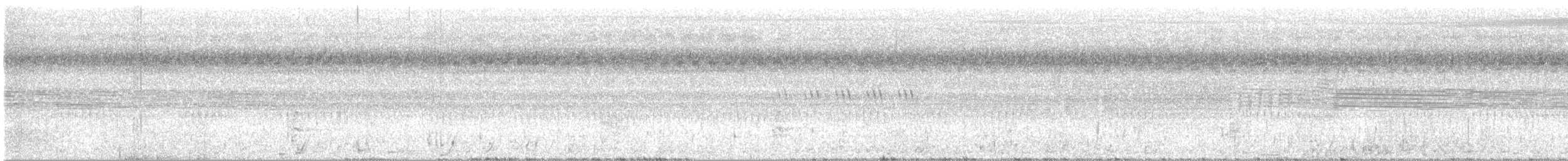 Oriental Pied-Hornbill - ML641284647