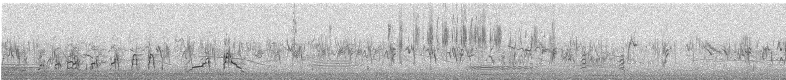 Grauflügelfrankolin - ML641286850