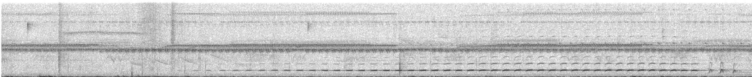 Variegated Antpitta - ML641287016